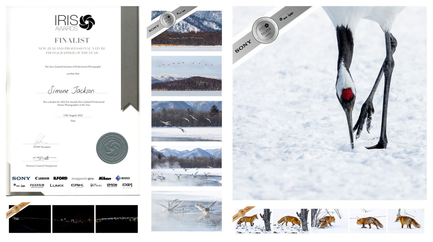 2022 Iris Awards Finalist in Nature Category! 