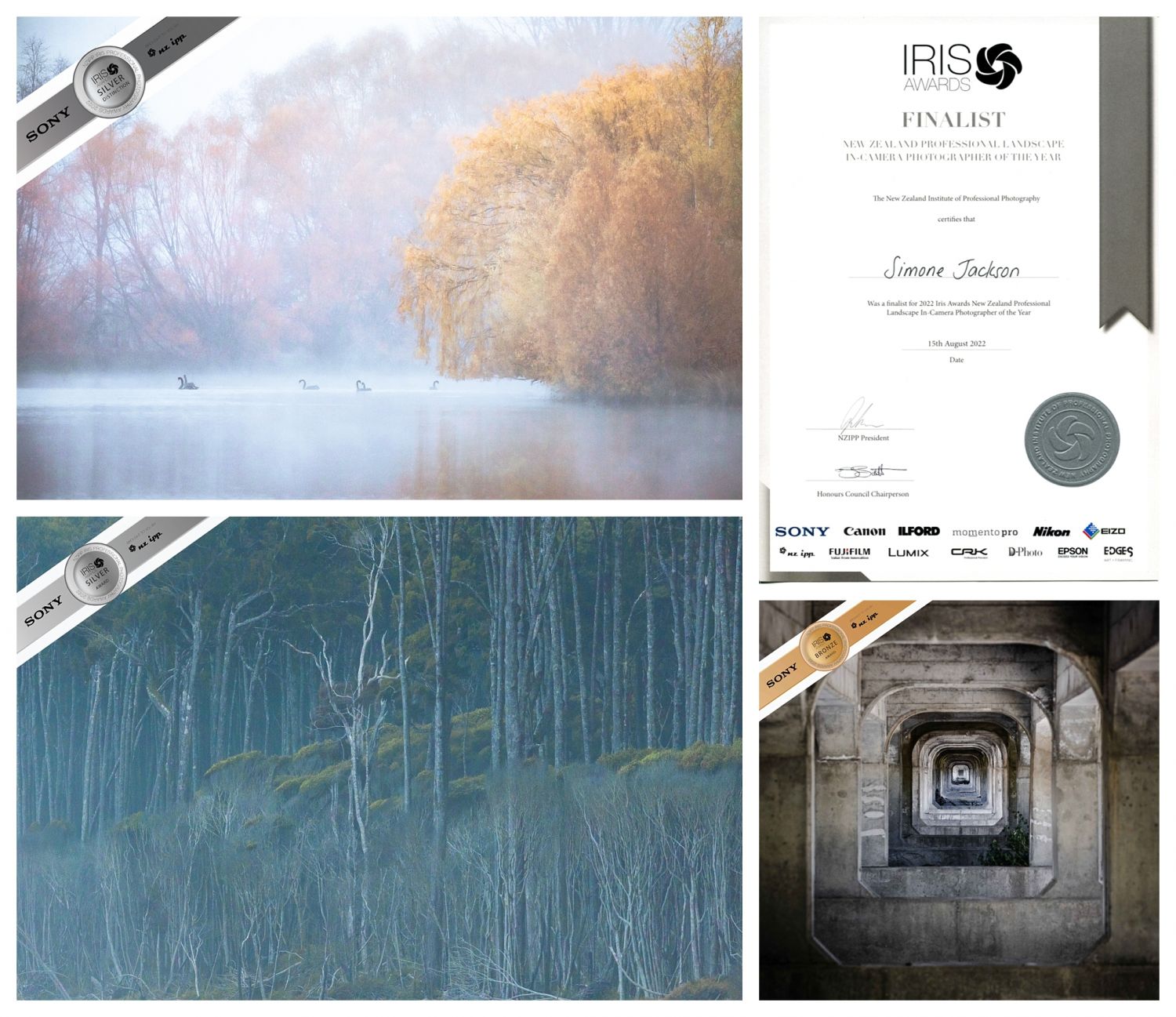 2022 Iris Awards Finalist in Landscape in Camera Category! - Blog