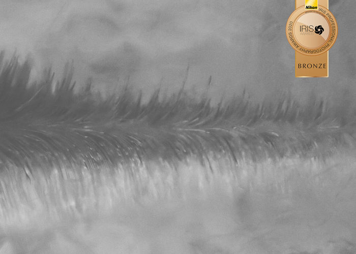 Bronze Award 2020 Landscape in Camera Category - Iris Awards Bronze Award 2020 Landscape in Camera Category - Iris Awards