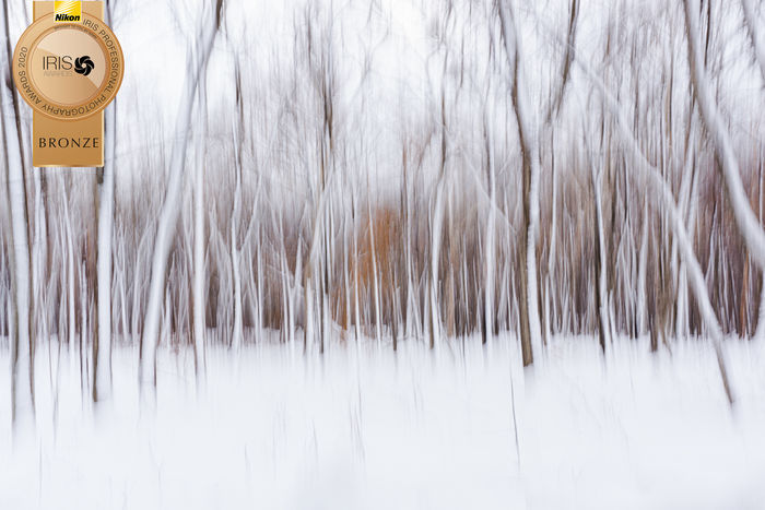 Bronze - 2021 Landscape in Camera Iris Awards Bronze - 2021 Landscape in Camera Iris Awards