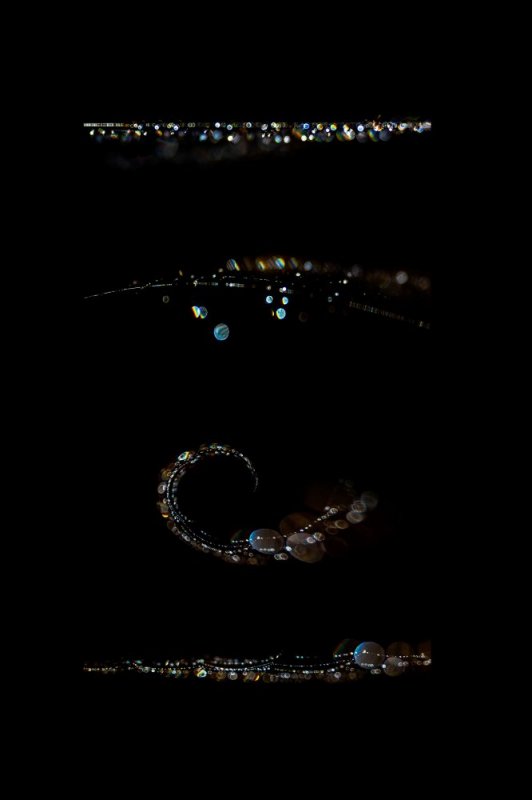 Dark Light photographic print for sale