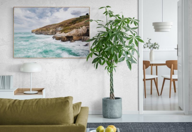 Tunnel Beach Cliffs  photographic print for sale